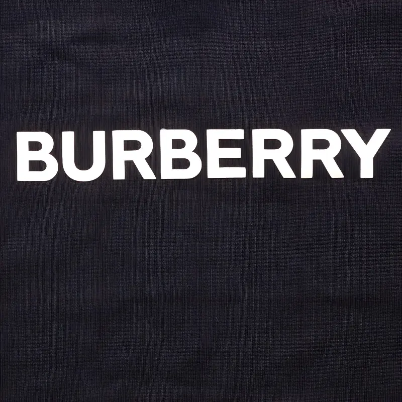 Burberry Burlow Logo Crew Sweater-2
