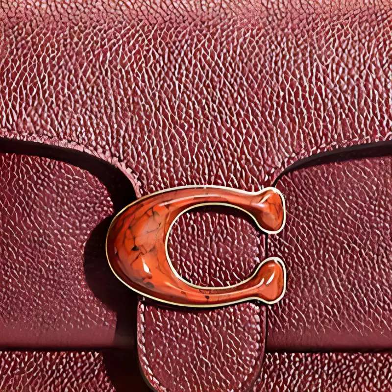 COACH Tabby Pebbled Leather Small Square Bag Portable Crossbody Bag Shoulder Bag Medium Size Women's Burgundy-1