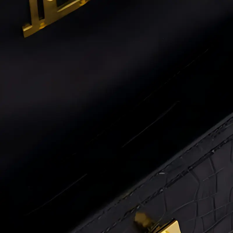 Balmain Hair Gold plaque Crocodile Mini Bag-4