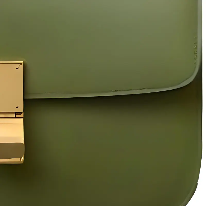 CELINE Classic Box Crossbody Bags-2