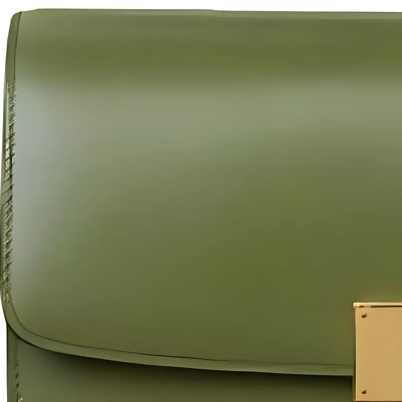 CELINE Classic Box Crossbody Bags-1