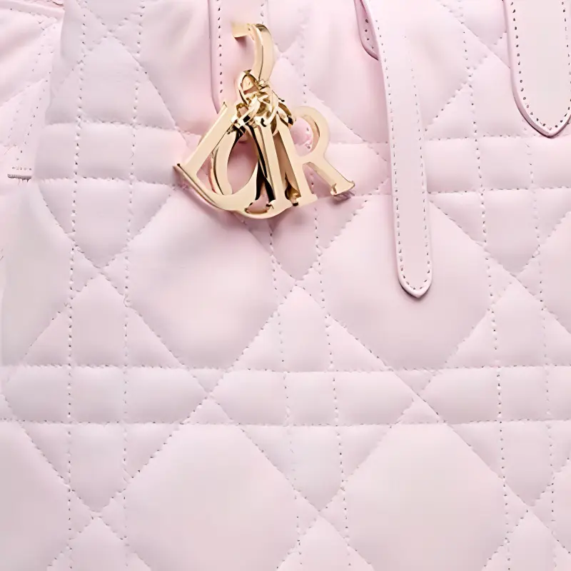DIOR Toujours Cow Leather Native Bag, One Shoulder Handbag Medium Size Women's Light Pink-2