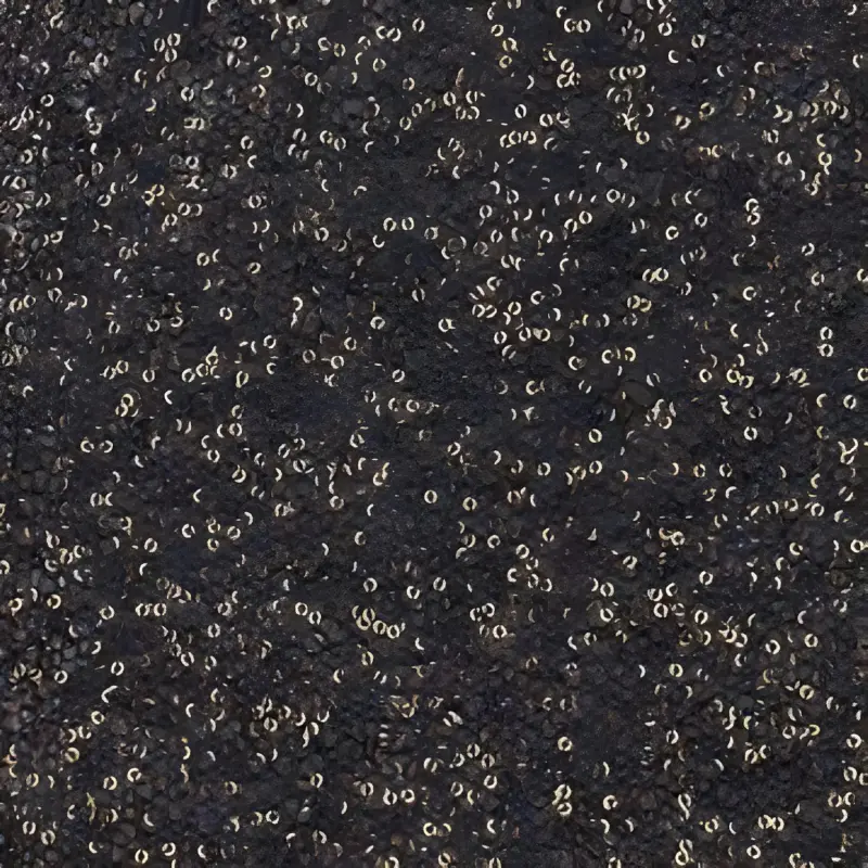 Balenciaga Sequin Embellished Maxi Skirt-4