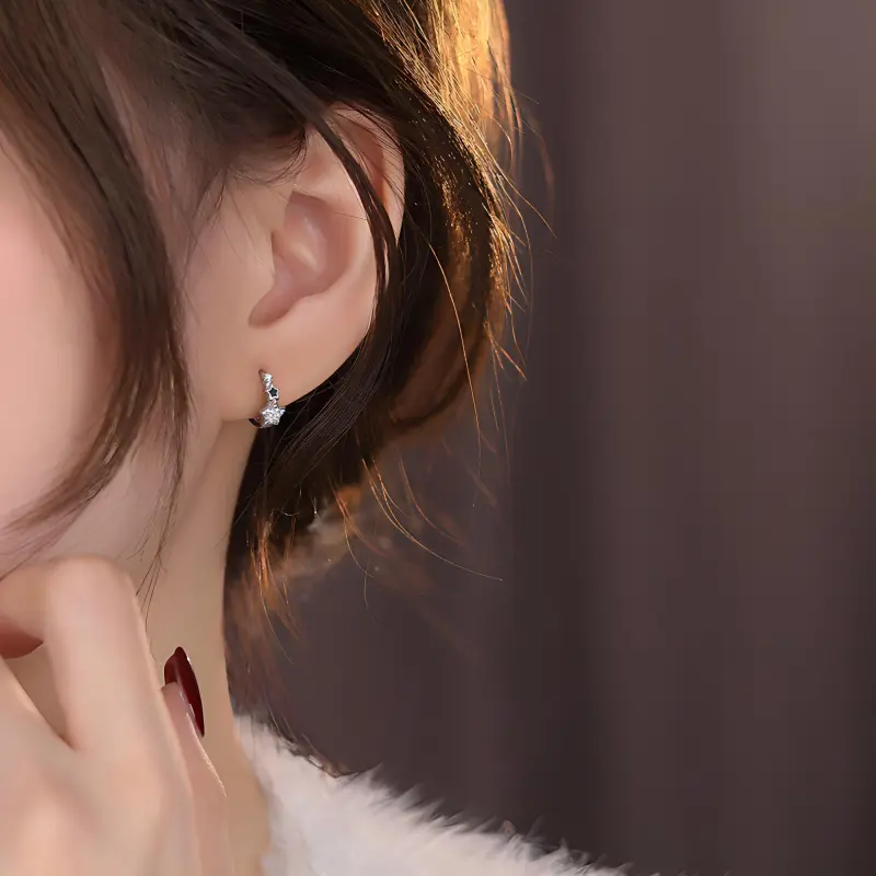 SINCE BEAUTY S999 Silver/zircon Earrings Unisex Silver-3