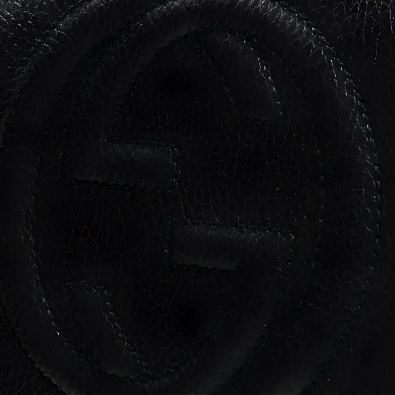 GUCCI Soho Backpacks-4