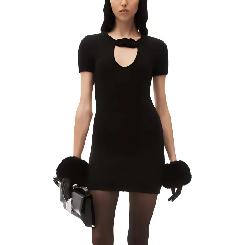 Alexander Wang Circle Cut Out Knit Mini Dress-2