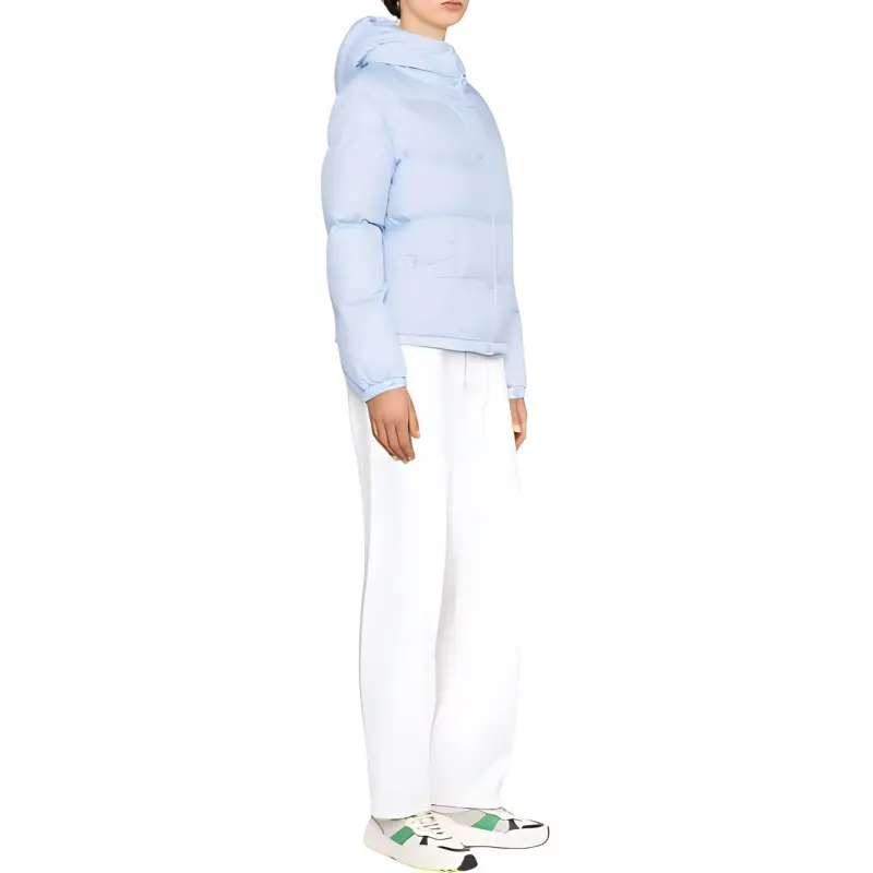 Moncler Ebre Jacket 'Blue'-4