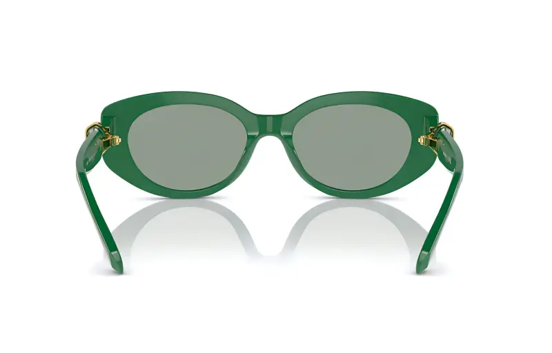 Swarovski Crystal embellished Sunglasses-3