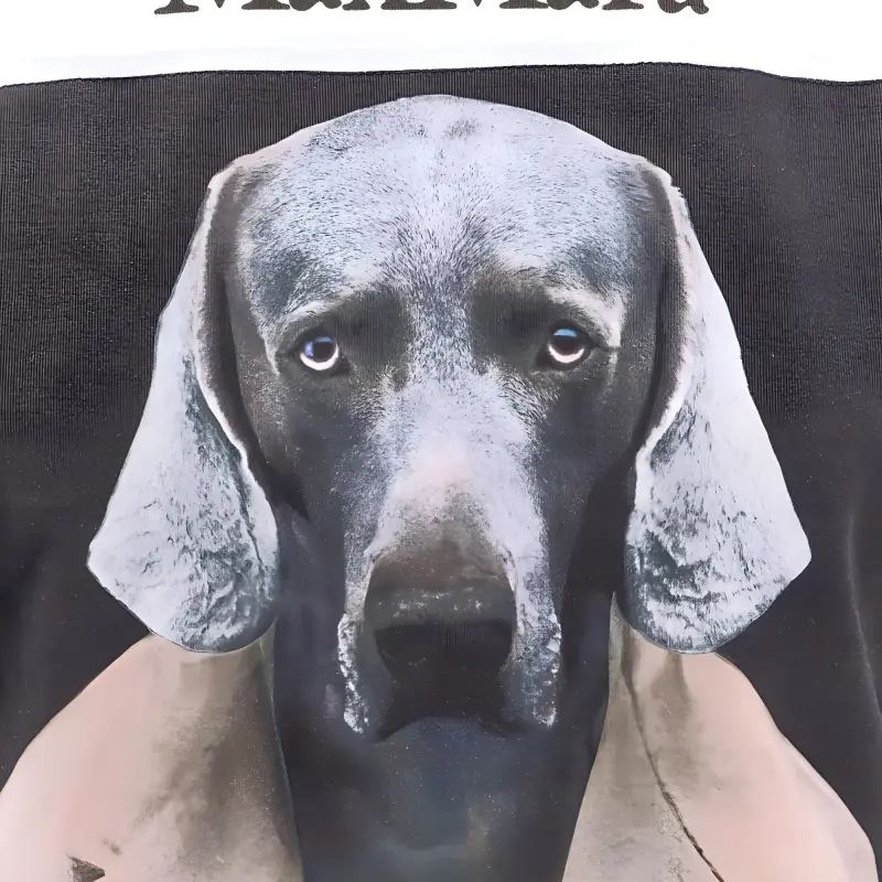 MaxMara Graphic Printed Crewneck T Shirt-3