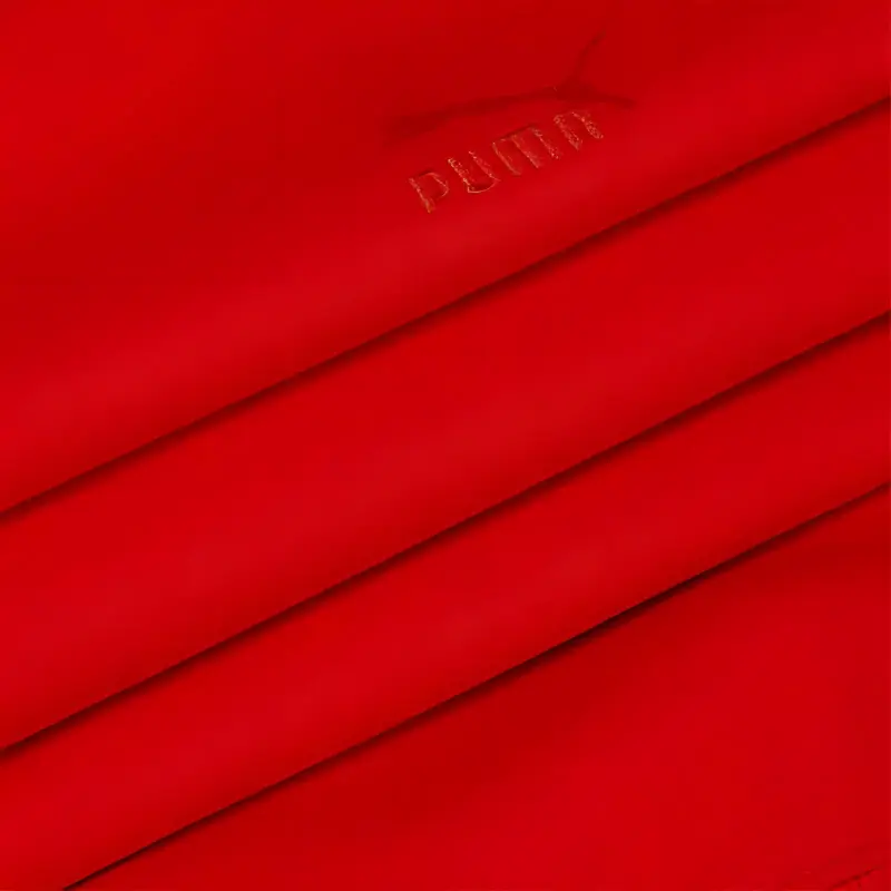 PUMA Sweatshirts Unisex Red-3