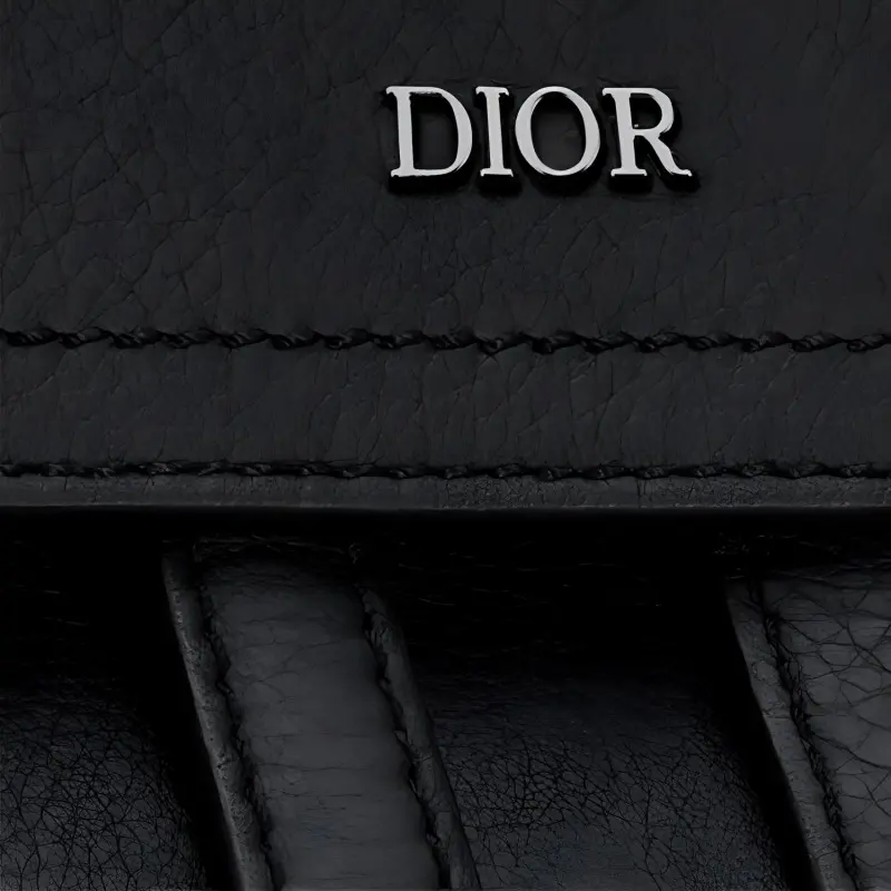 DIOR Saddle Backpacks-4