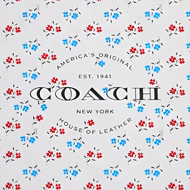 COACH Silk Scarves Women's Multicolor-1