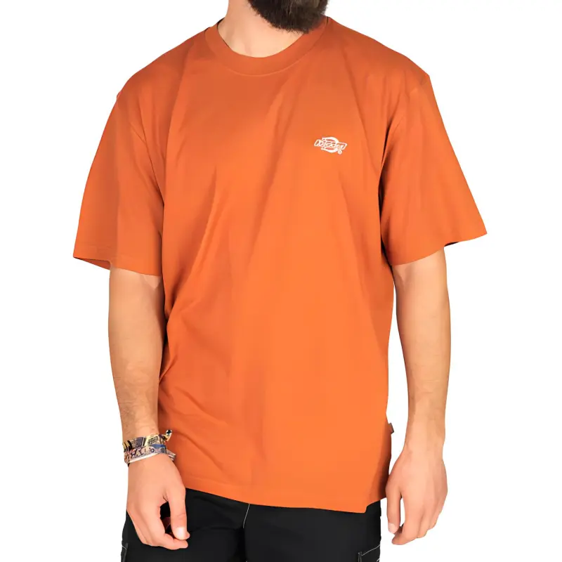 Dickies T-Shirts Men Orange-2