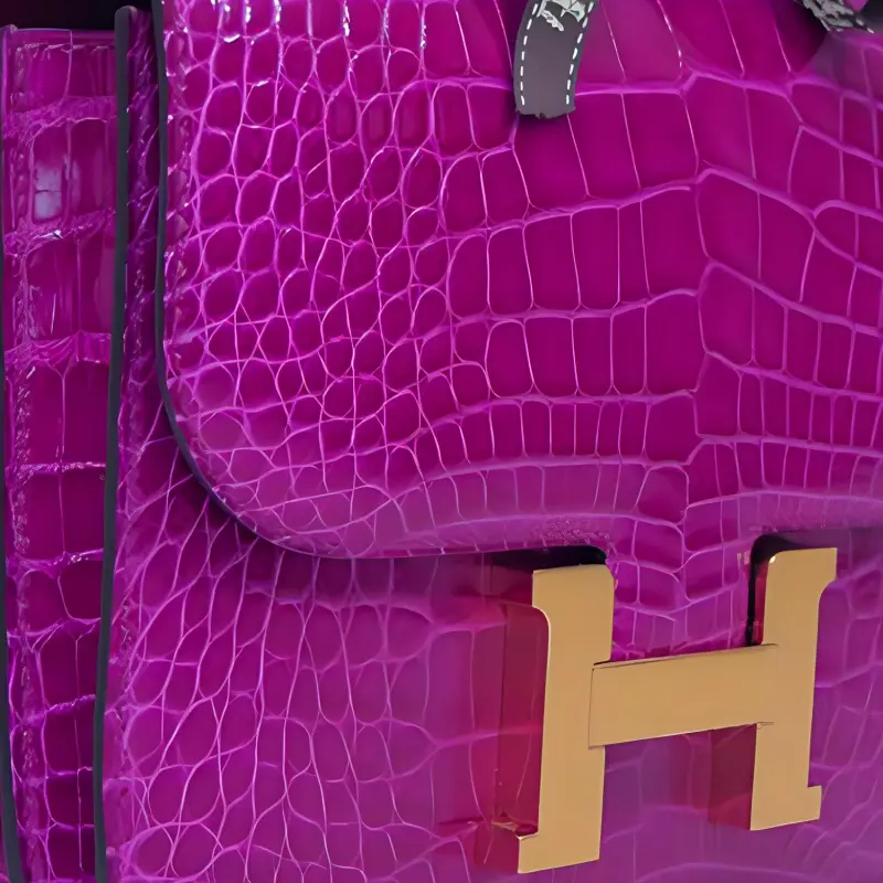 HERMES Constance Crocodile Leather Handheld Crossbody Bag, Shoulder Bag 19 Women's-5