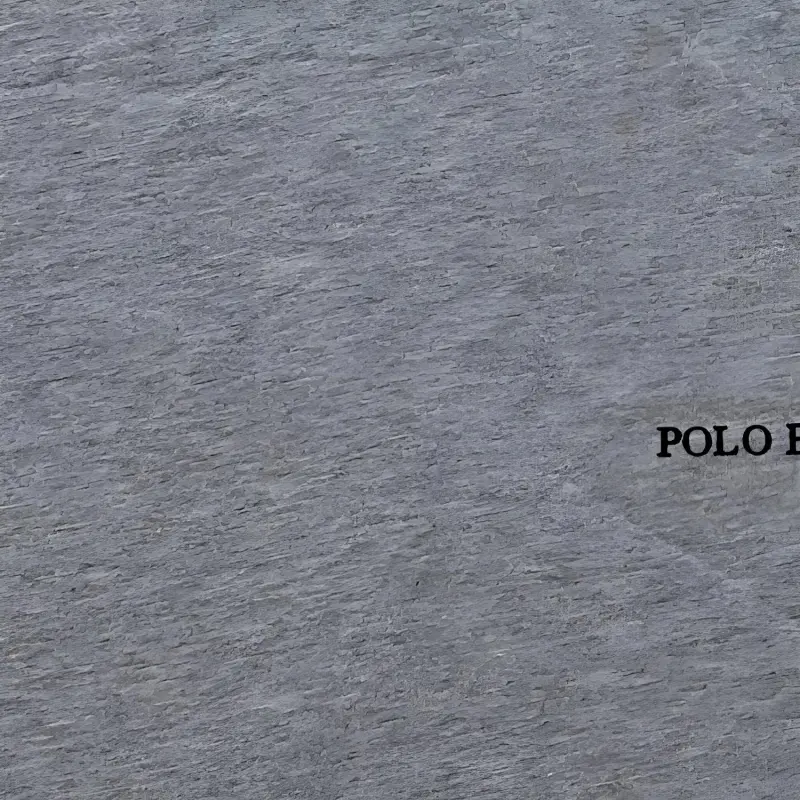 Polo Ralph Lauren T Shirt Men's Gray-4