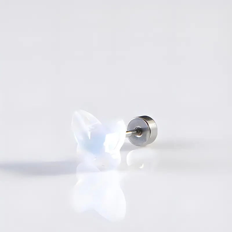 PAYMERY Titanium Steel Stud Earrings Unisex-1