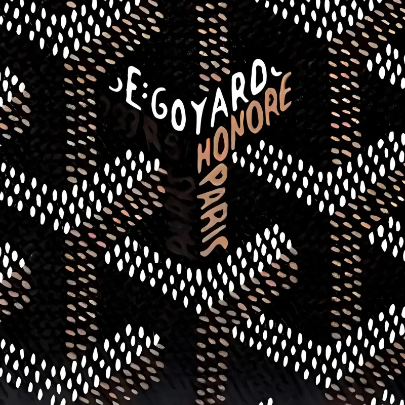 GOYARD MATIGNON Canvas With Leather Wallet Small Size Unisex Black-3