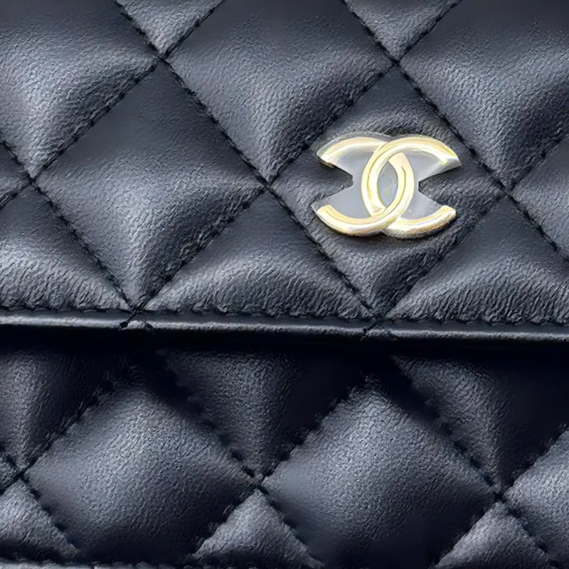 CHANEL Sheepskin Handbag, Shoulder Bag, Crossbody Bag Women's Black & White-1