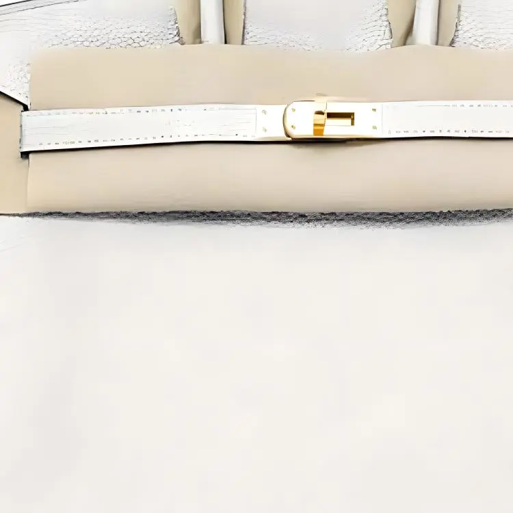 HERMES Birkin Togo Calfskin Cow Leather Birkin Bag Handbags Women's 10 Craie Milkshake White-3