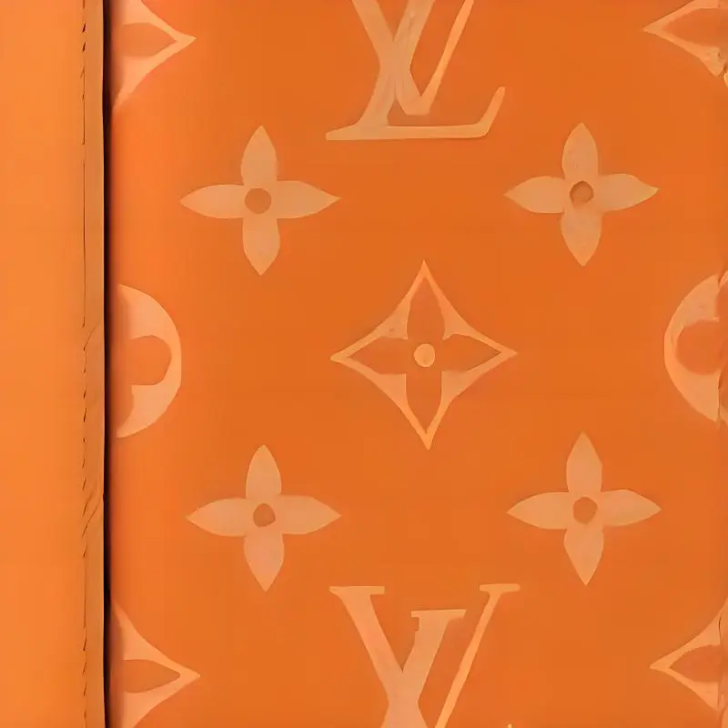 LOUIS VUITTON Passport Cover-3