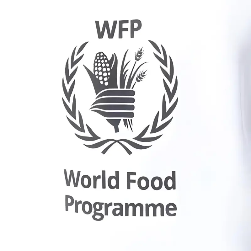 Balenciaga 2018 X Wfp Cotton Hoodie-4