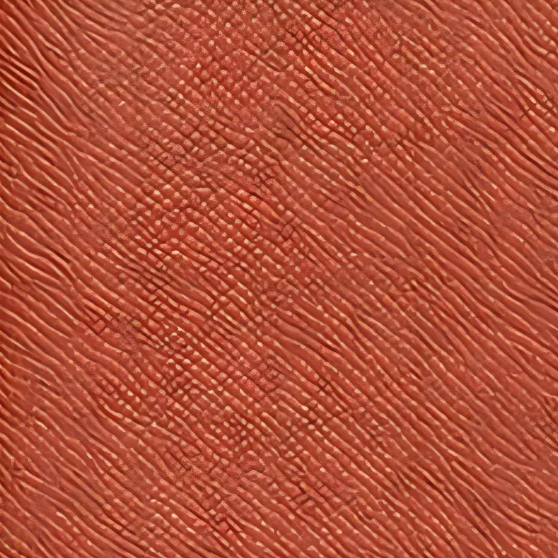 HERMES Epsom Leather Card Holder Women's Orange-2