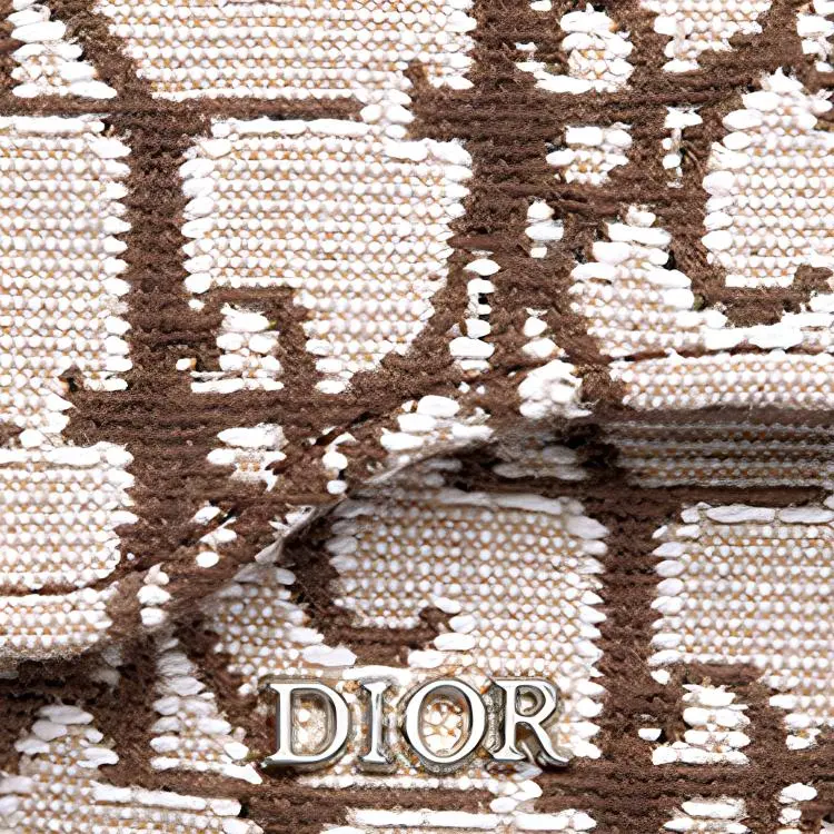 DIOR CACTUS JACK Collaboration Jacquard Fabric Wrist Bag Men's Coffee-4