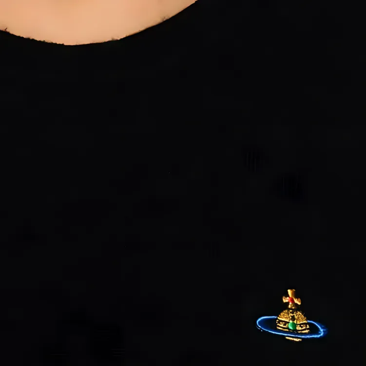 Vivienne Westwood Orb Embroidered Crewneck Jumper-4