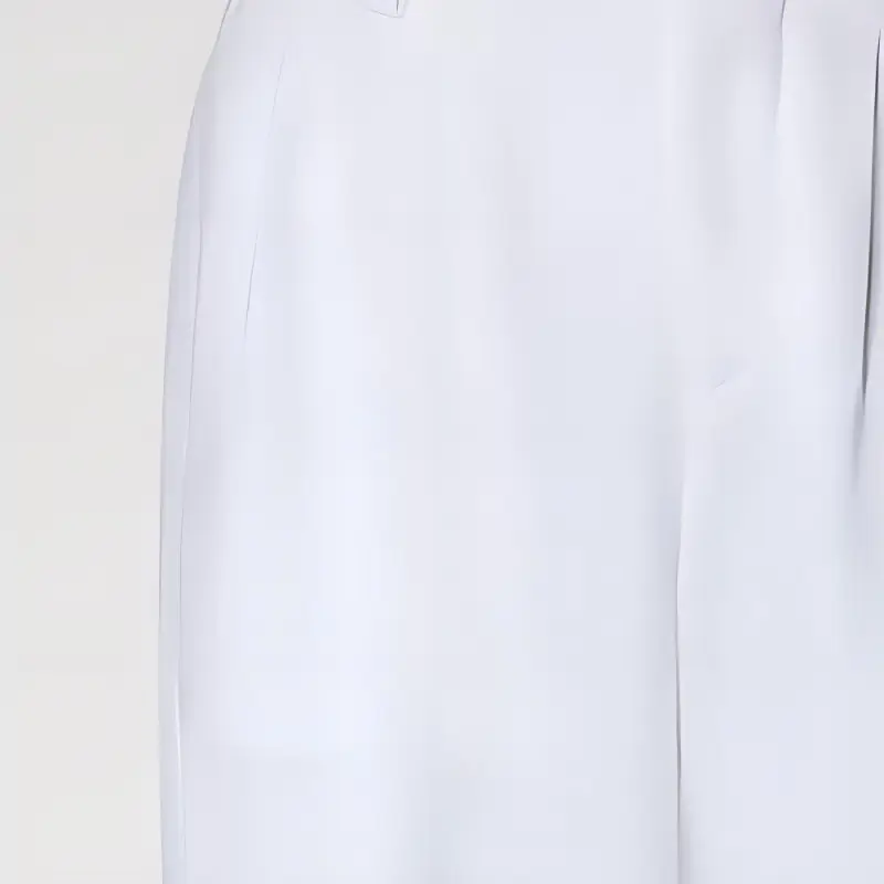 LOUIS VUITTON Masculine Tailored Pants-1