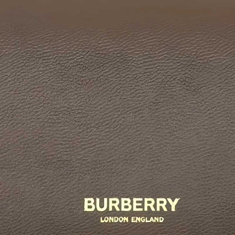 Burberry Leather Paneled Canvas Shoulder Bag, Crossbody Bag Women's Brown-6