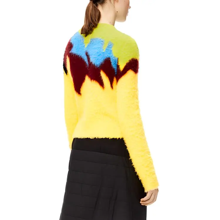 LOEWE FW21 Sweater Women's Yellow-4