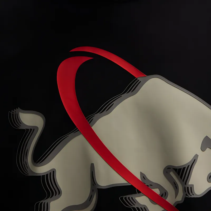 HUGO BOSS X Racing Bulls Bull print Cotton T shirt-3