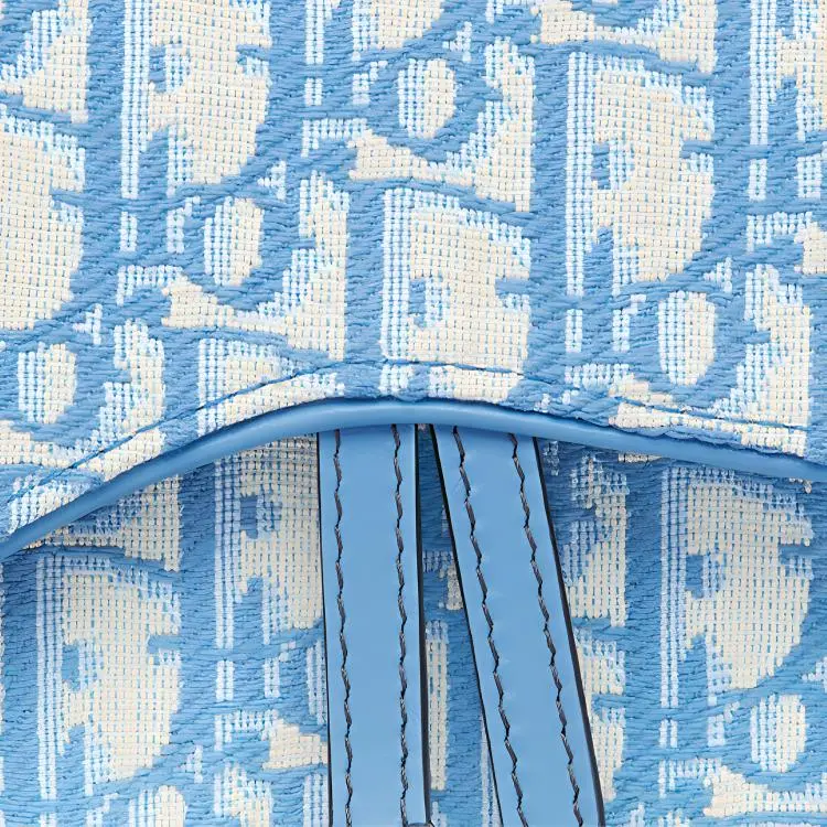 DIOR Canvas Saddle Sling Bag, Canvas Bag, One Shoulder Handbag, Fanny Pack Women's Cornflower Blue/Carolina Blue-4