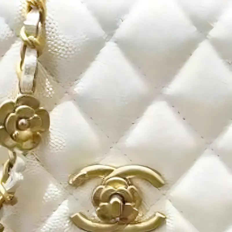 CHANEL WOC Grain Embossed Calfskin Wallet, Shoulder Bag, Crossbody Bag Women's White-1