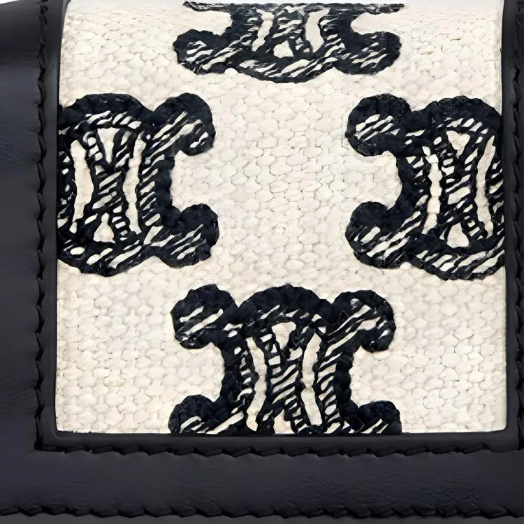 CELINE Triumphal Arch Earphone Cases-4