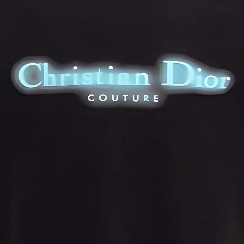 DIOR Logo Printed Crewneck T Shirt-6