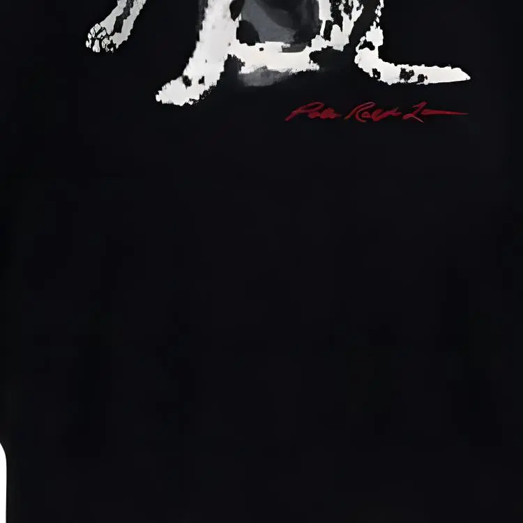 Polo Ralph Lauren Sweater Men's-5