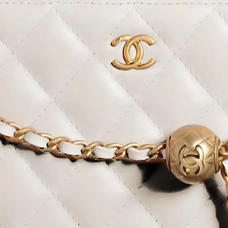 CHANEL Sheepskin Square Box Camera Bag, Rare Visitor Shoulder Bag Women's White-1