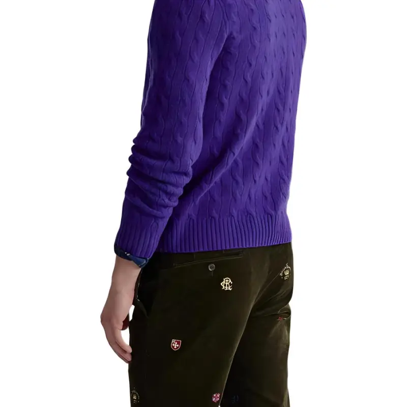Polo Ralph Lauren FW23 Sweater Men's Purple-5