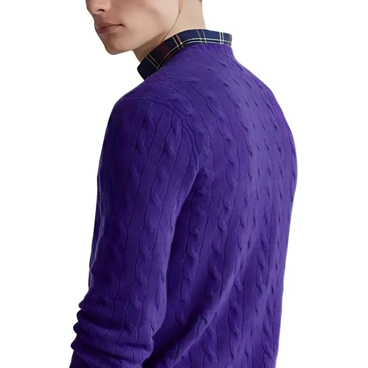 Polo Ralph Lauren FW23 Sweater Men's Purple-4