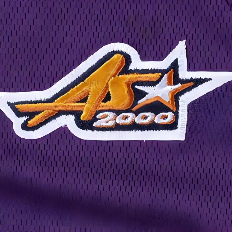 Mitchell & Ness Basketball Jersey Unisex Purple-2