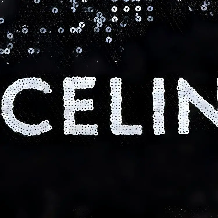CELINE Calfskin Trim Handbags Wrist Bags Clutches Small Size Women's Black-4
