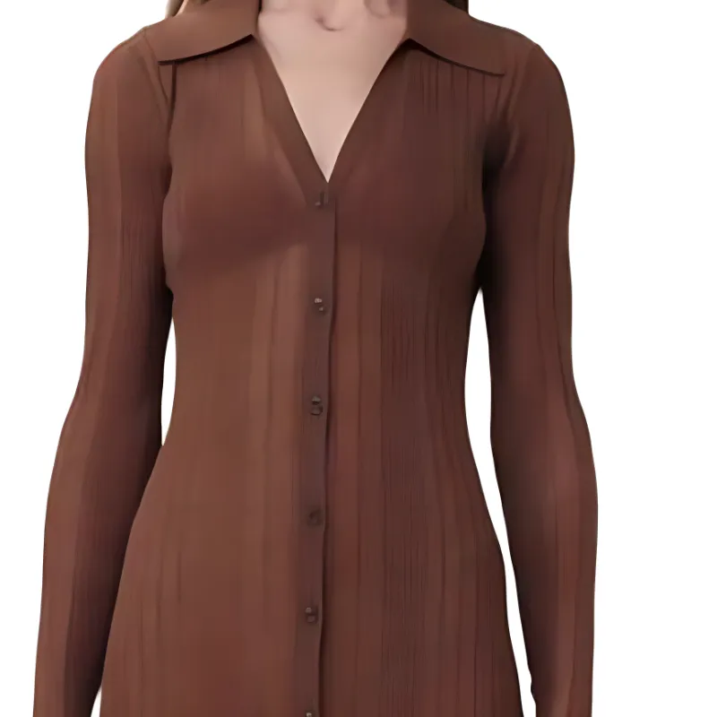 PINKO SS24 Long Sleeved Dress Women's Brown-2