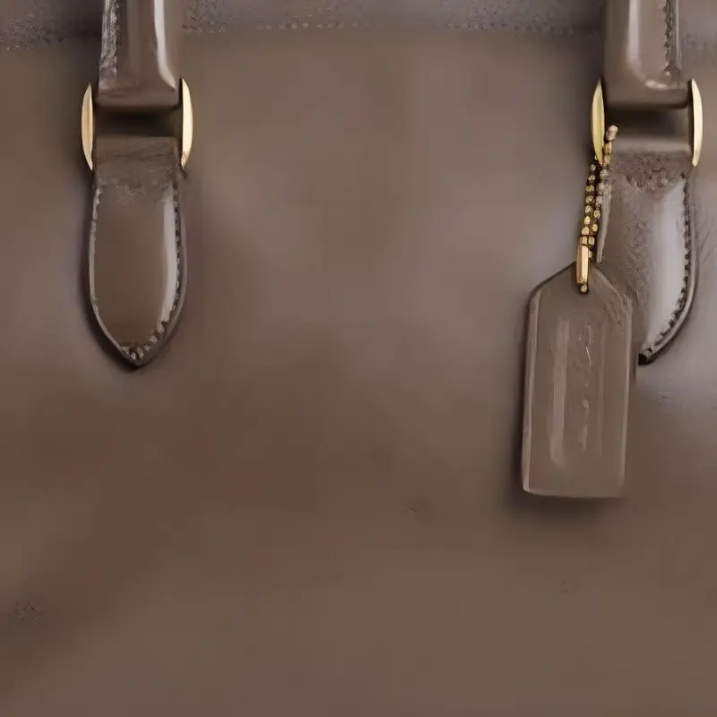 COACH VintageMadison Leather One Shoulder Handbags Large Size Women's Camel Brown-4