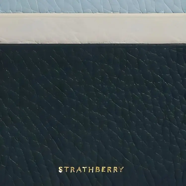 Strathberry Calfskin Card Holder Women's Deep Green Duck Egg Blue And Diamond Color.-4