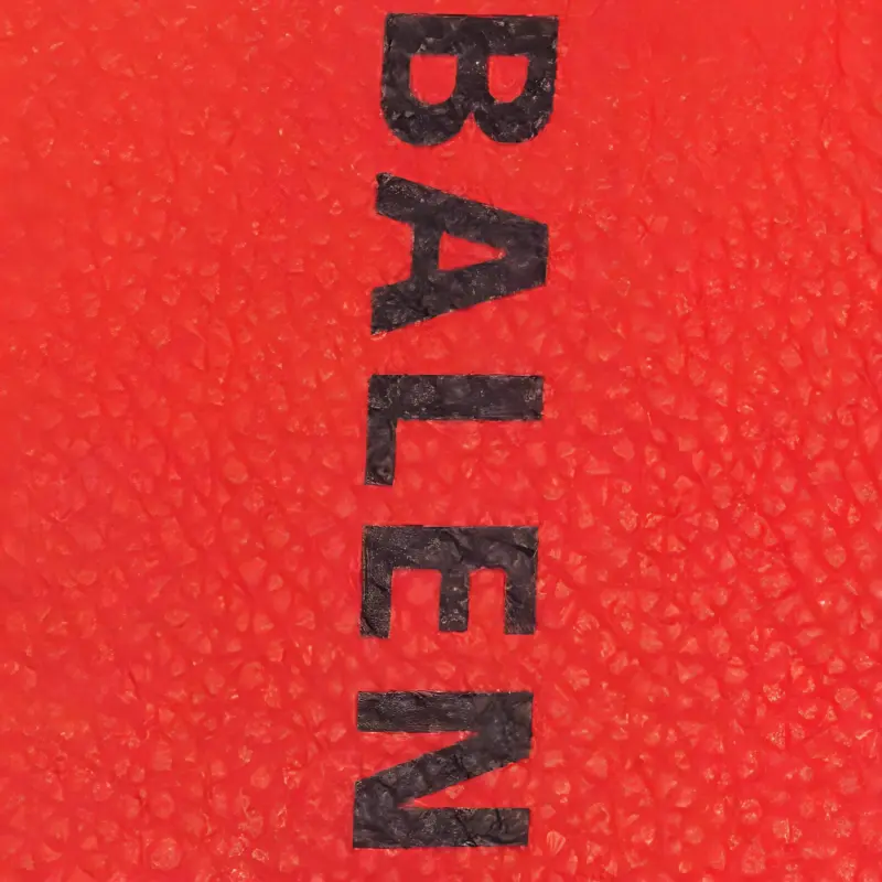 Balenciaga Cash Strapped Card Case-3