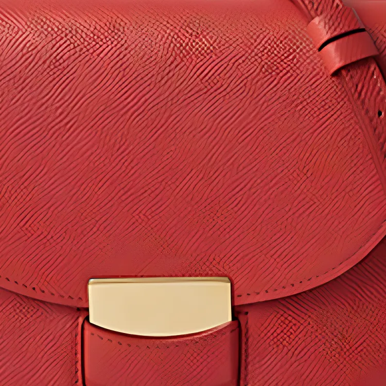 CELINE Cow Leather Saddle Bag Shoulder Bag Crossbody Bag Small Size Women's Red-3