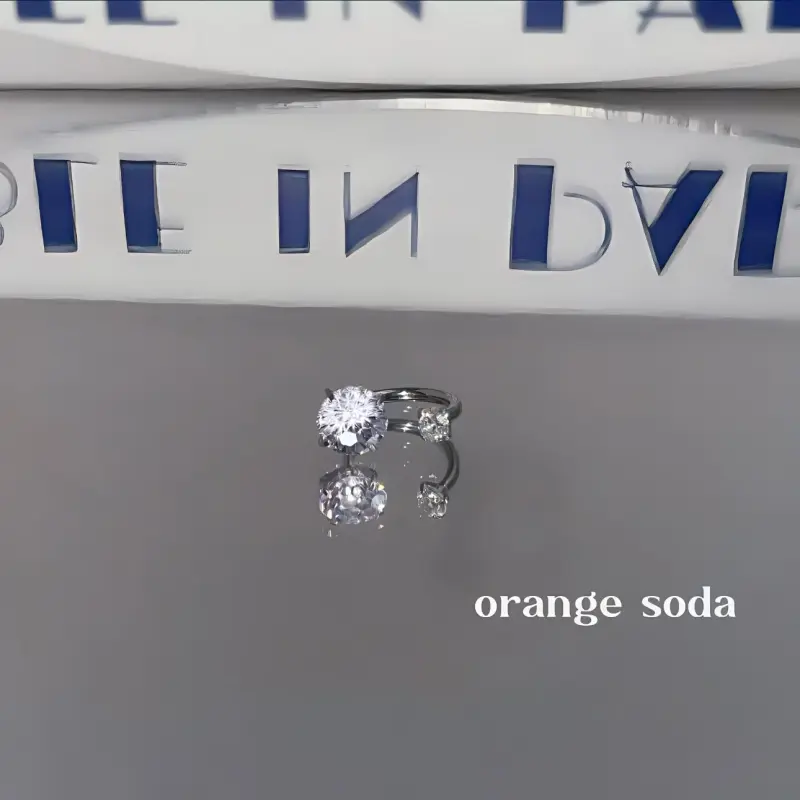 KwOnline Titanium Steel Stud Earrings Women's-11