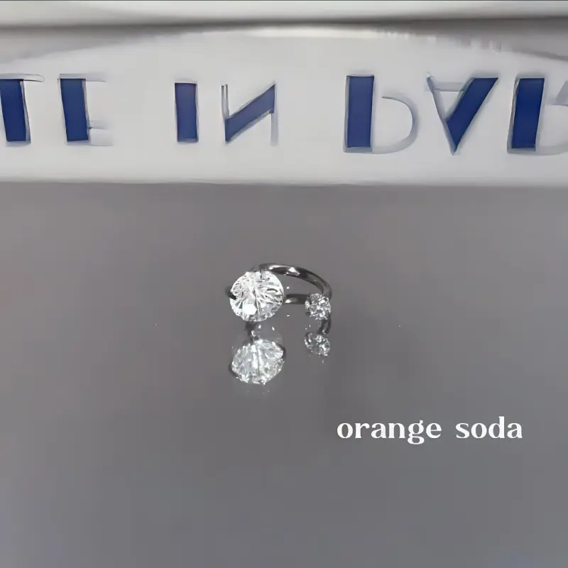 KwOnline Titanium Steel Stud Earrings Women's-5