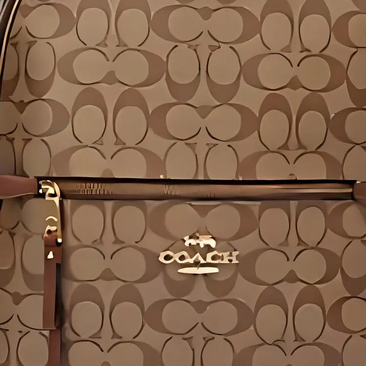 COACH Addison Backpacks-3
